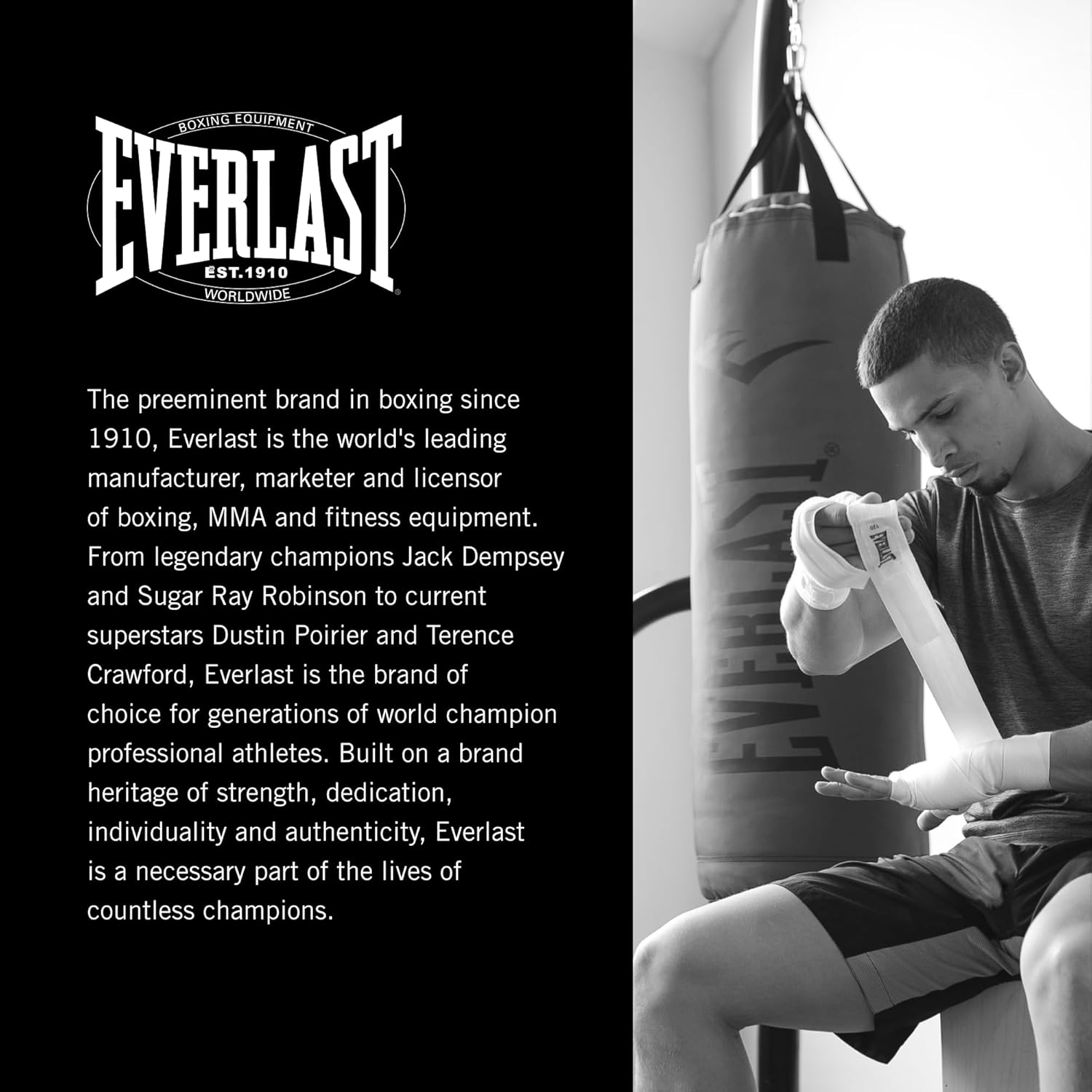Punching Hanging Bag