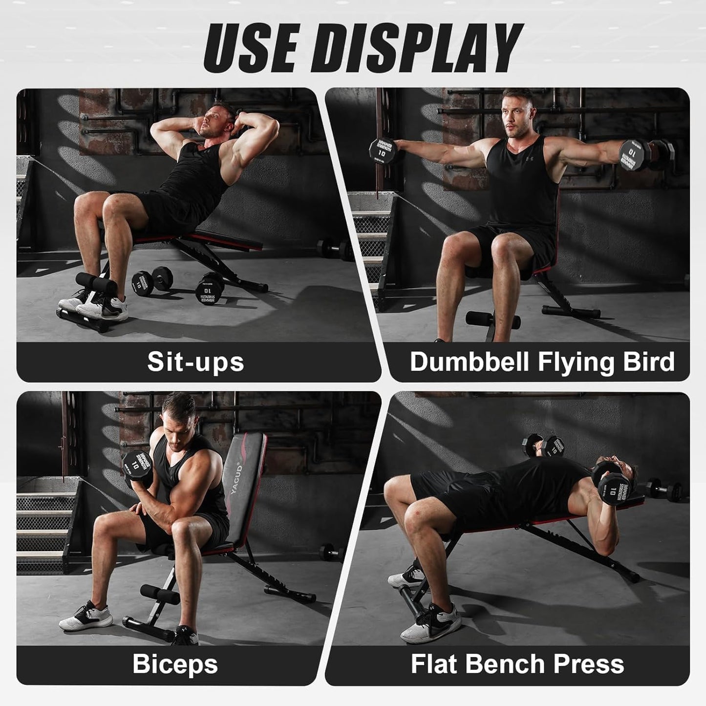 Adjustable Workout Benches for Full Body Workout