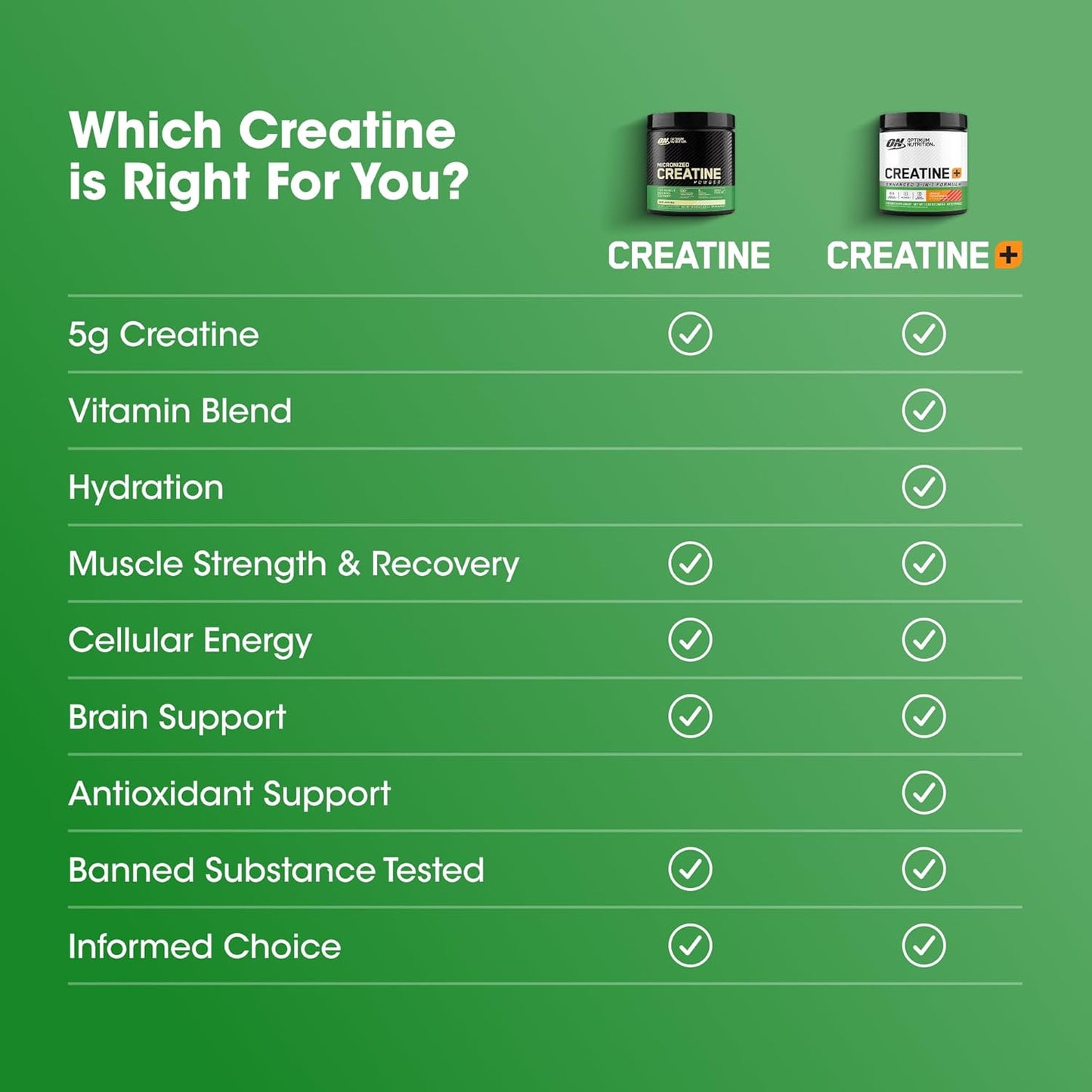 Micronized Creatine Monohydrate Powder, Unflavored, 60 Servings, 300 Grams (Packaging May Vary)